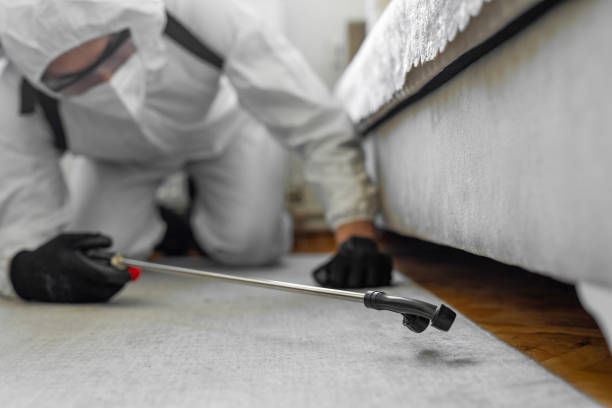 Professional Emergency Pest Control technician working in Hopewell city County, VA